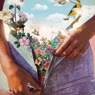 Zipper down, flowers and skies blooming out of a jeans.